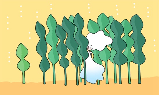 巴中排名前五的计算机学校名单